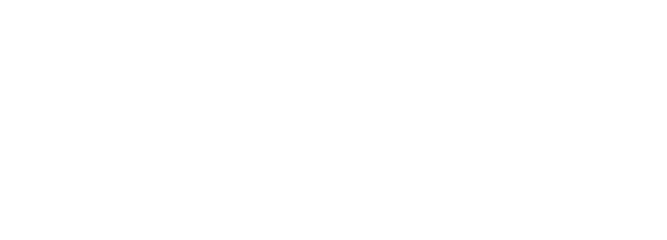 Functional Overview